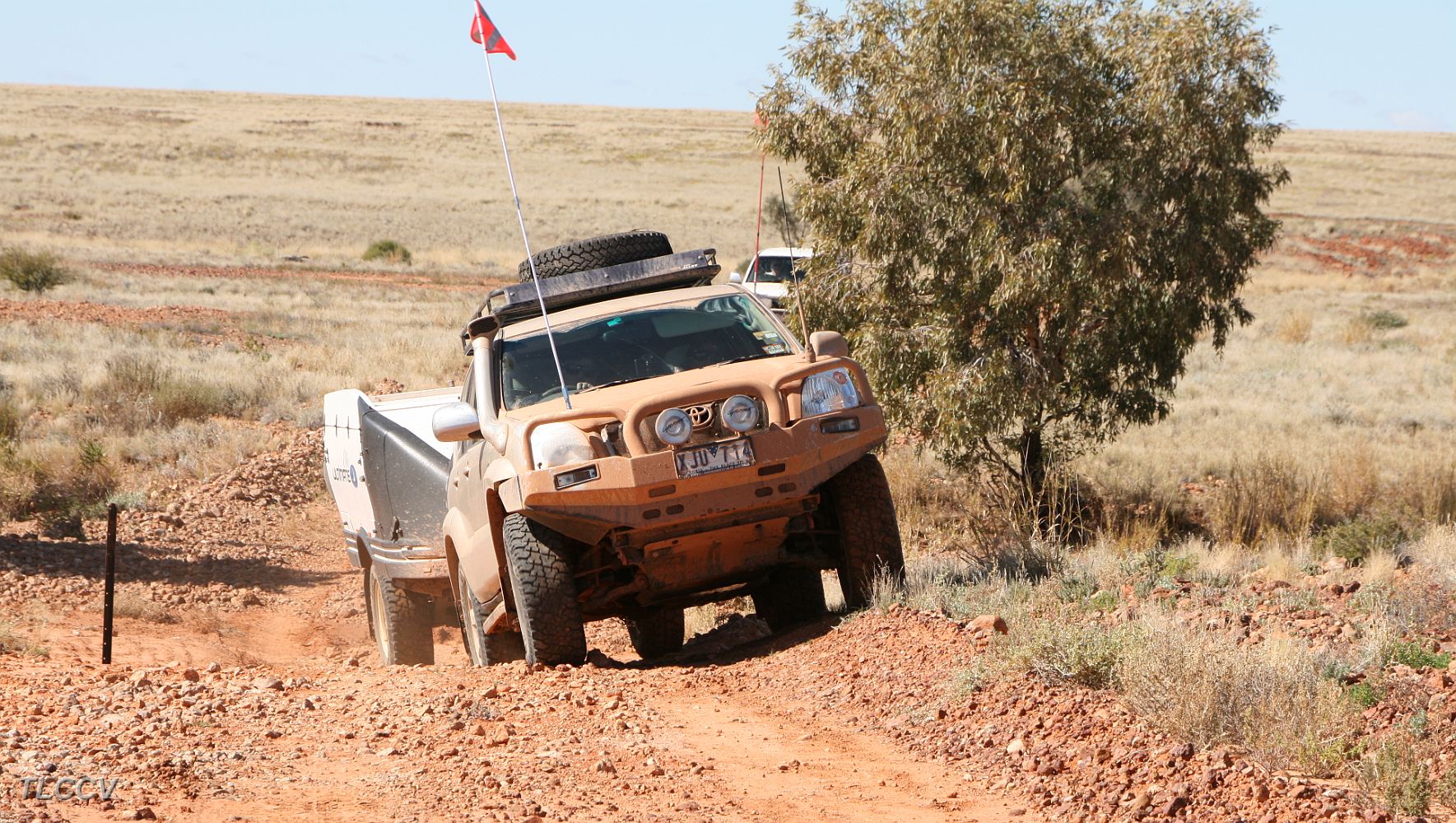 Goldie on the Bore track.JPG